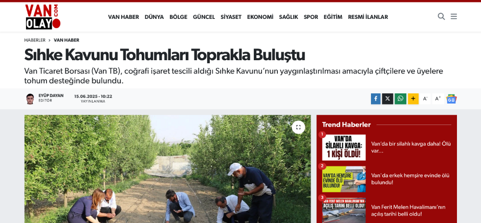 SIHKE KAVUNU TOHUMLARI TOPRAKLA BULUŞTU