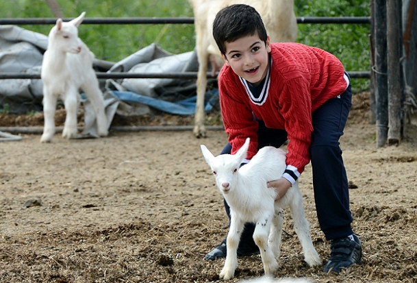 DÜNYA, AİLE ÇİFTLİĞİ MODELİNİ TARTIŞIYOR...