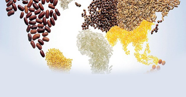 Türkiye Önerdi BM Kabul Etti