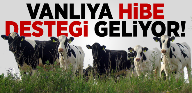 HAYVANCILIĞA BÖLGESEL DESTEK DOPİNGİ