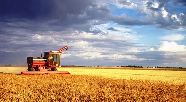 TÜKAS YÖNETMELİĞİ YAYINLANDI