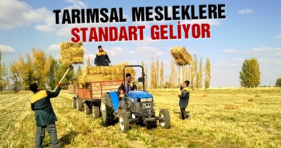 TARIM SEKTÖRÜNE MESLEKİ STANDART
