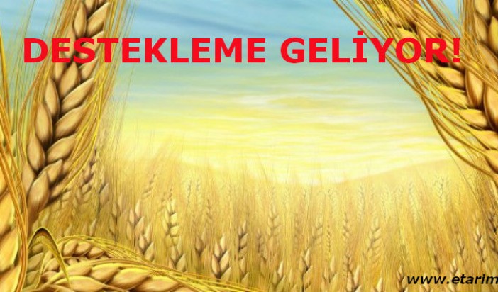 TARIMA DESTEK DOPİNGİ GELİYOR