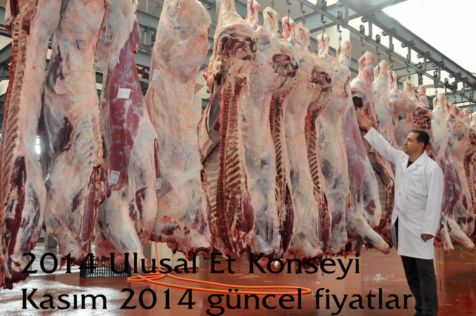 2014 GÜNCEL ET FİYATLARI