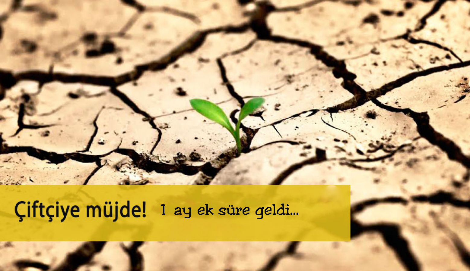 ÇİFTÇİLERİ SEVİNDİREN HABER