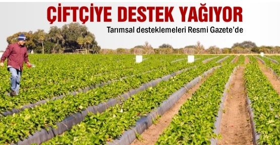 TARIMSAL DESTEKLER BELLİ OLDU