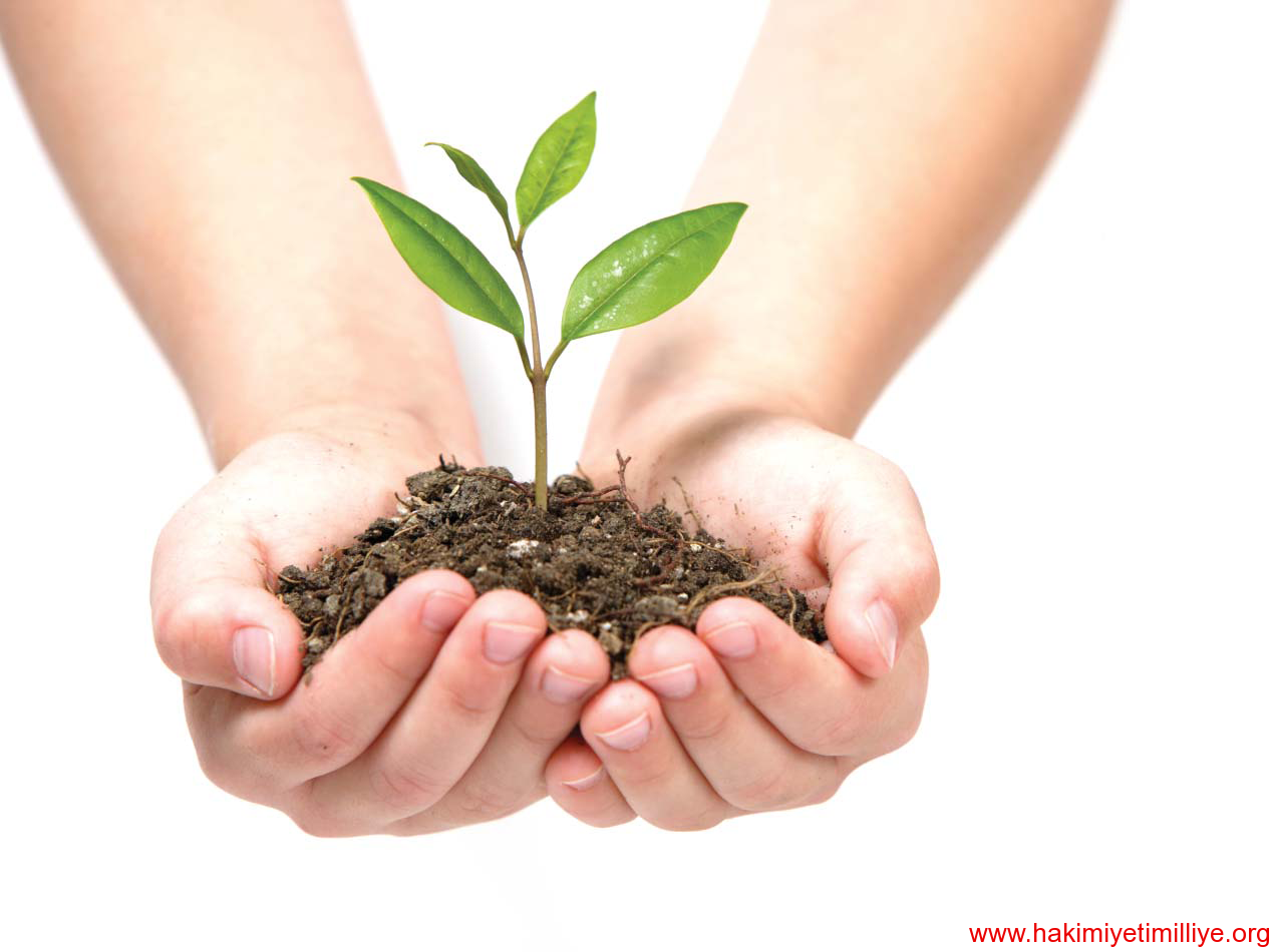 2014 YILINDA 98 MİLYAR TL\'LİK BİTKİSEL ÜRETİM