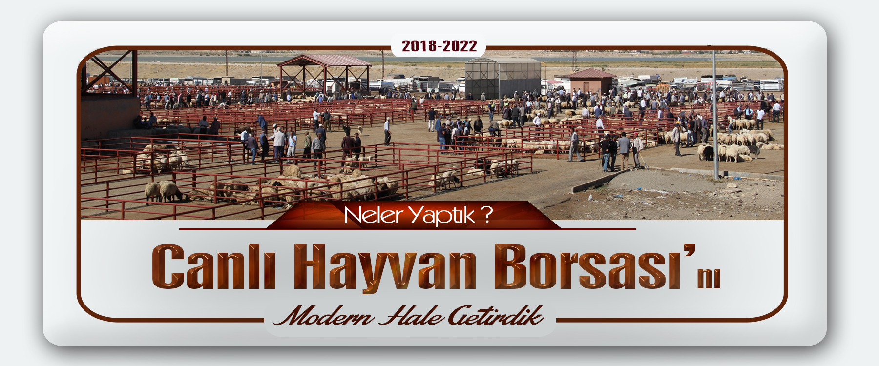 CANLI HAYVAN BORSASI