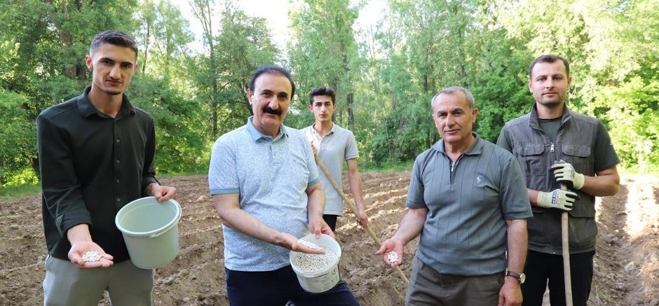 Başkan Nayif Süer Gevaş Fasulyesi Ekimine Katıldı