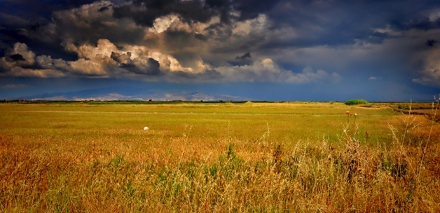 TARIM ARAZİLERİNDE \"KAMU YARARI\" ARANACAK