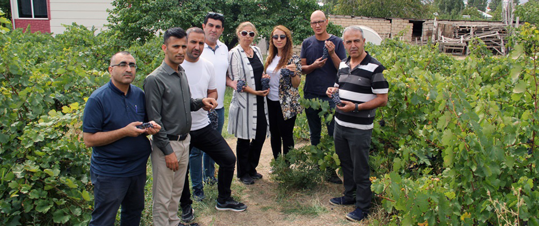 BAŞKAN SÜER: ERCİŞ ÜZÜMÜ KALİTESİNİ KORUYOR