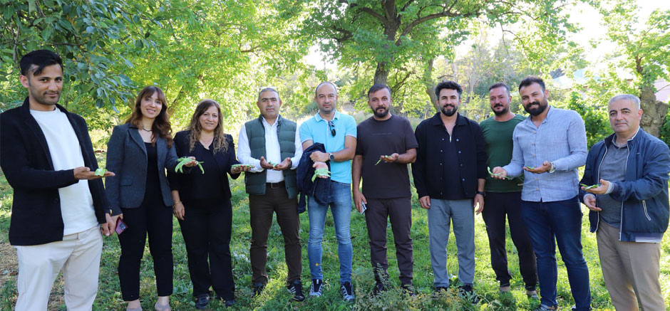 Gevaş Fasülyesi Değerini Korumaya Devam Ediyor