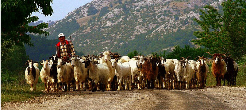 25 BİN SÜRÜ YÖNETİCİSİ 