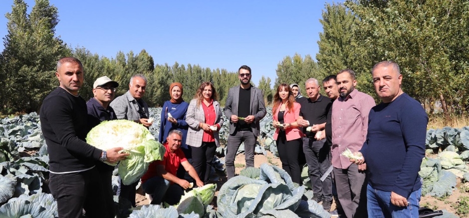 Tescilli Lezzet Erciş Lahanası: İlk Denetimden Tam Not Aldı