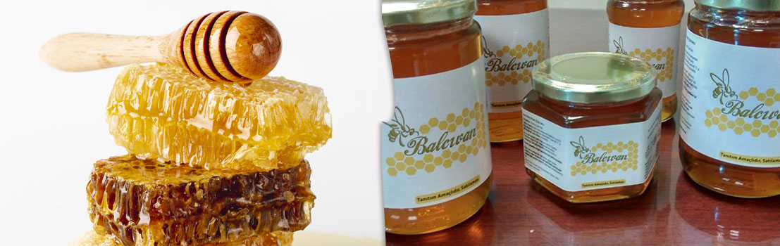 Bal Dolum Merkezi Projesi