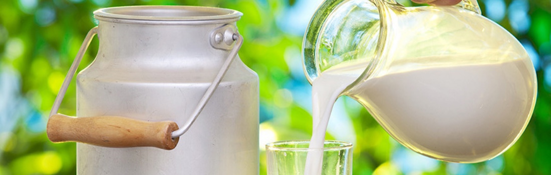 Bitlis İli Süt Toplama ve Soğutma Merkezi Fizibilite Çalışması 