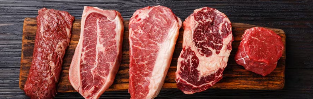 ET Borsası Fizibilite Çalışması